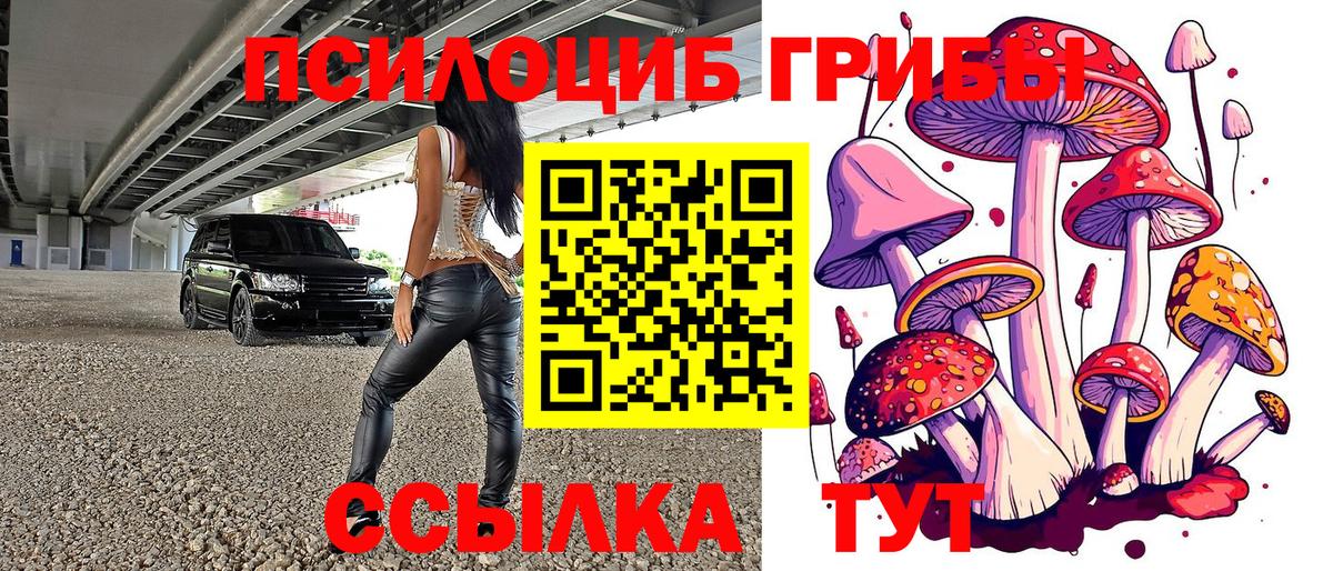 Галлюциногенные грибы Psilocybine cubensis Королёв