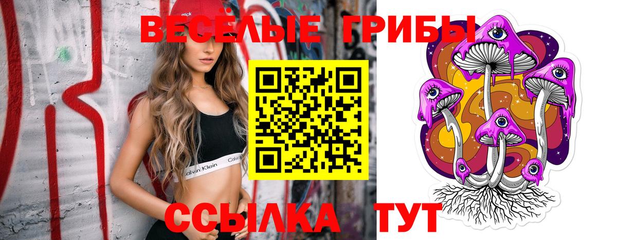 даркнет сайт  Галлюциногенные грибы прущие грибы  Вход с VPN  Королёв 